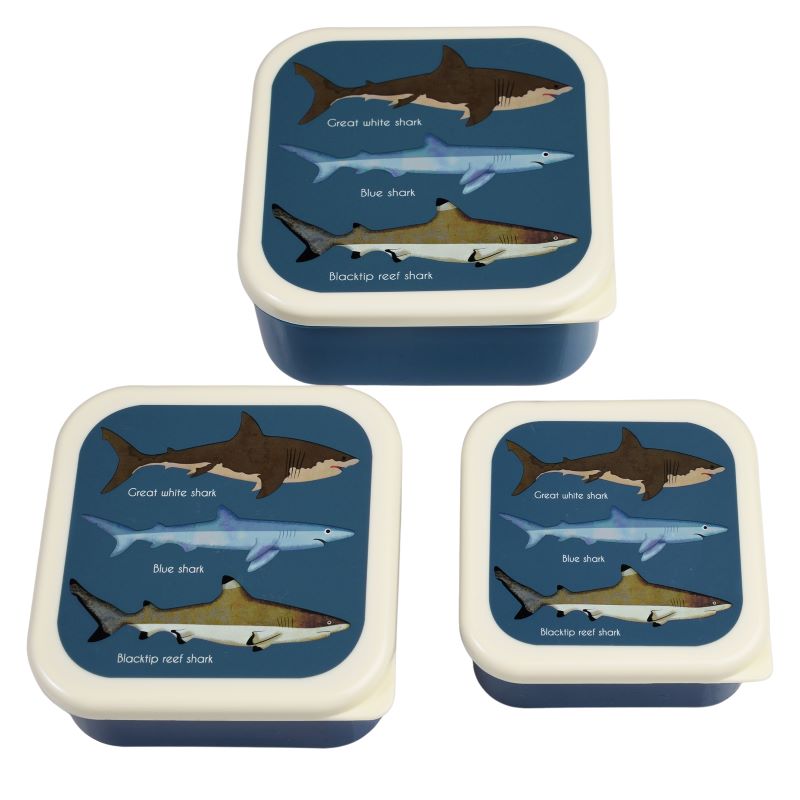 Rex London Sharks Snack boxes