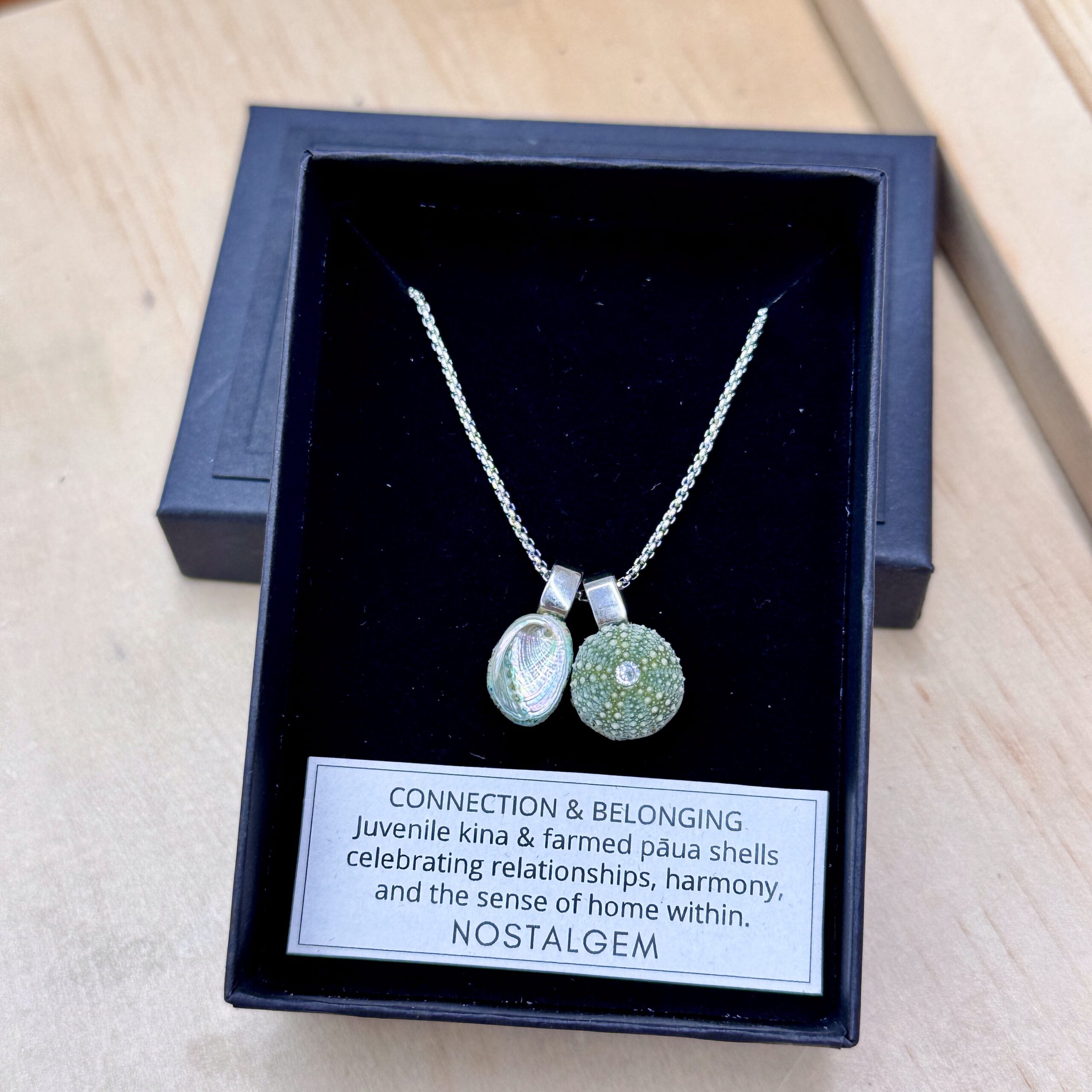 Nostalgem- Paua & Kina Shell Pair Necklace (Sliver / Small)