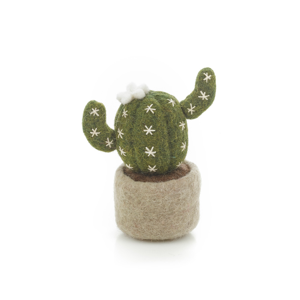 Felt so good – Miniature Plant Barrel Cactus