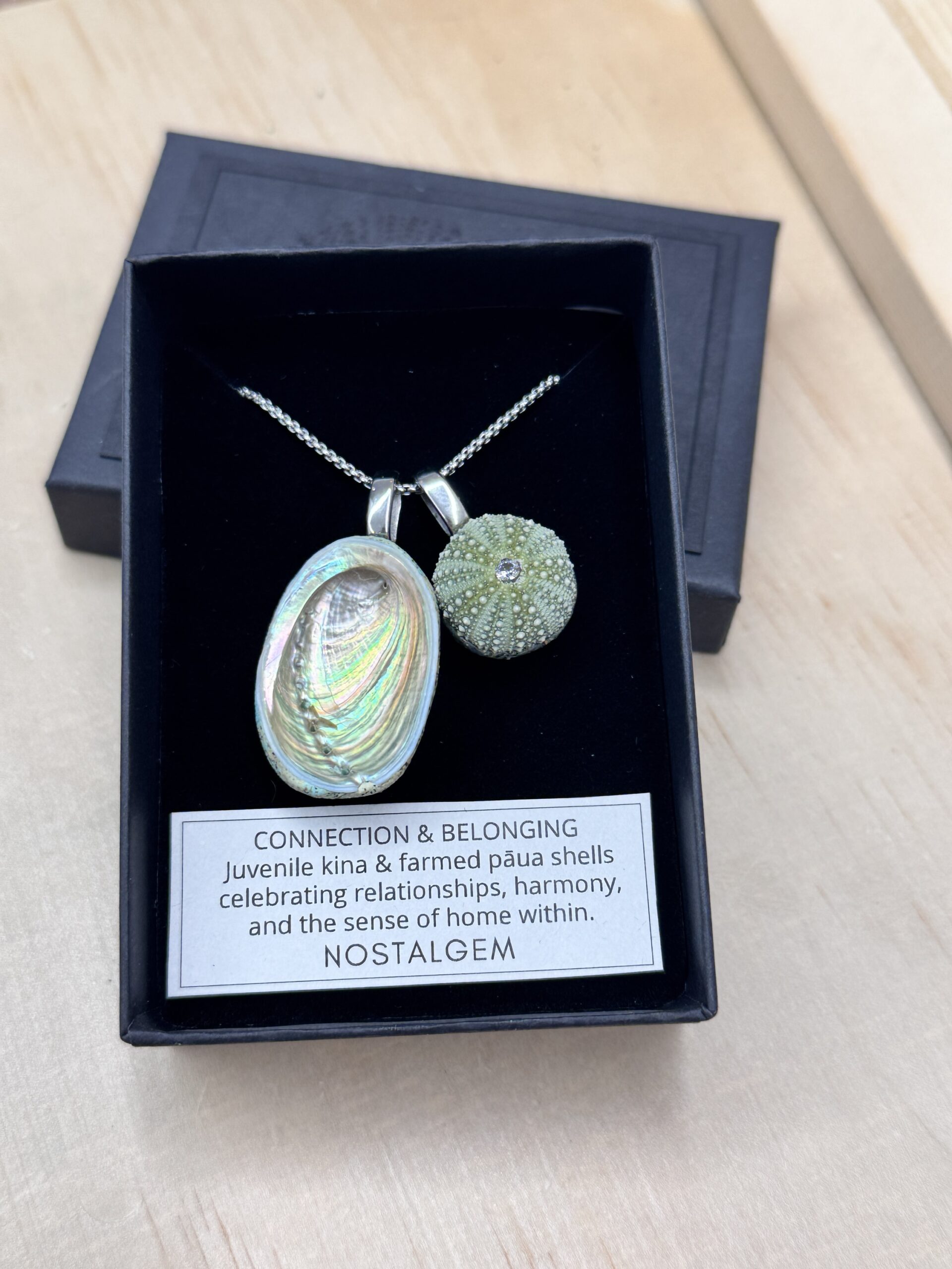 NOSTALGEM- PAUA & KINA SHELL PAIR NECKLACE (LARGE /SILVER)