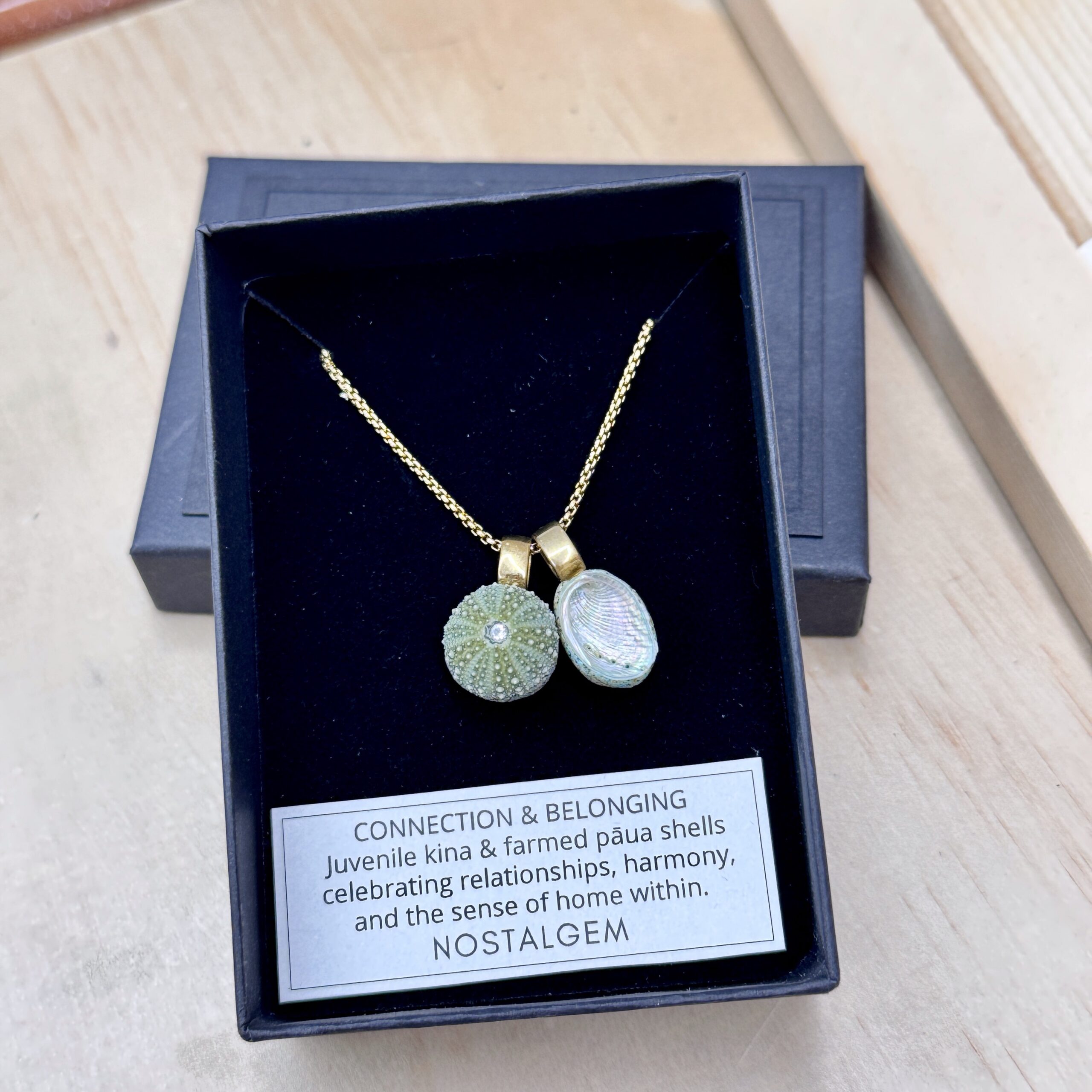 NOSTALGEM- PAUA & KINA SHELL PAIR NECKLACE (Small/Gold)